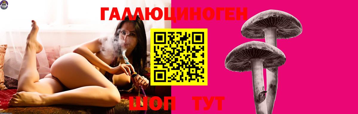 Галлюциногенные грибы мухоморы Лесозаводск